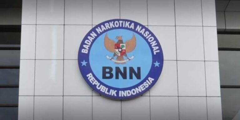 BNN (web)
